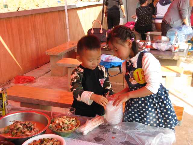 ����Ҳ����æ